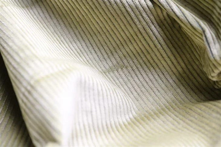 25W Stripe Stretch Corduroy best